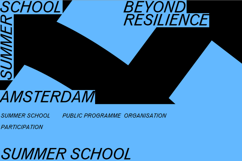 Летняя школа Beyond Resilience